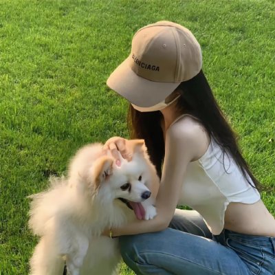 内战圣伯纳犬